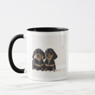 Two Mini Dachshund Sitting Mug