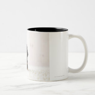Two Mini Dachshund Sitting Two-Tone Coffee Mug