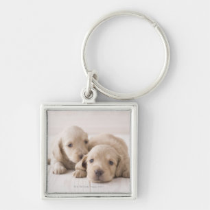 Two Miniature Dachshund Key Ring