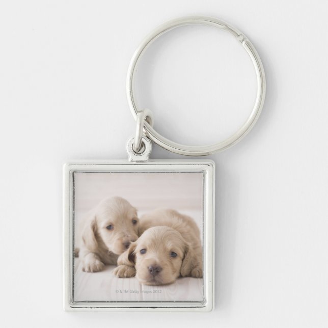 Two Miniature Dachshund Key Ring (Front)
