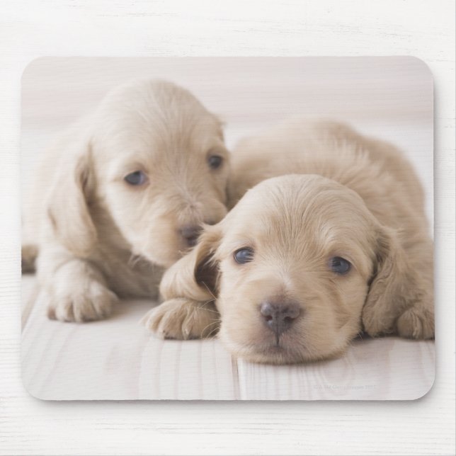 Two Miniature Dachshund Mouse Mat (Front)