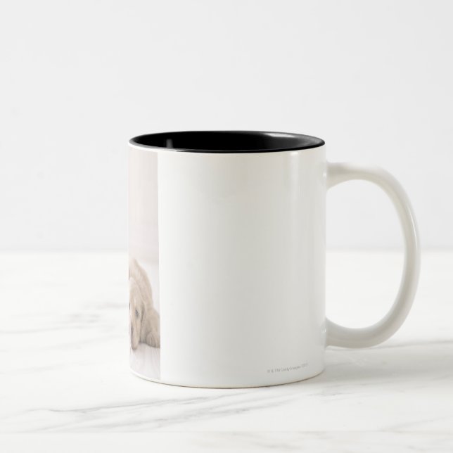 Two Miniature Dachshund Two-Tone Coffee Mug (Right)