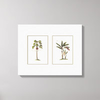 Two Miniature Framed Palm Trees