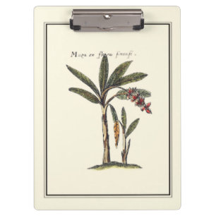 Two Miniature Framed Palm Trees Clipboard