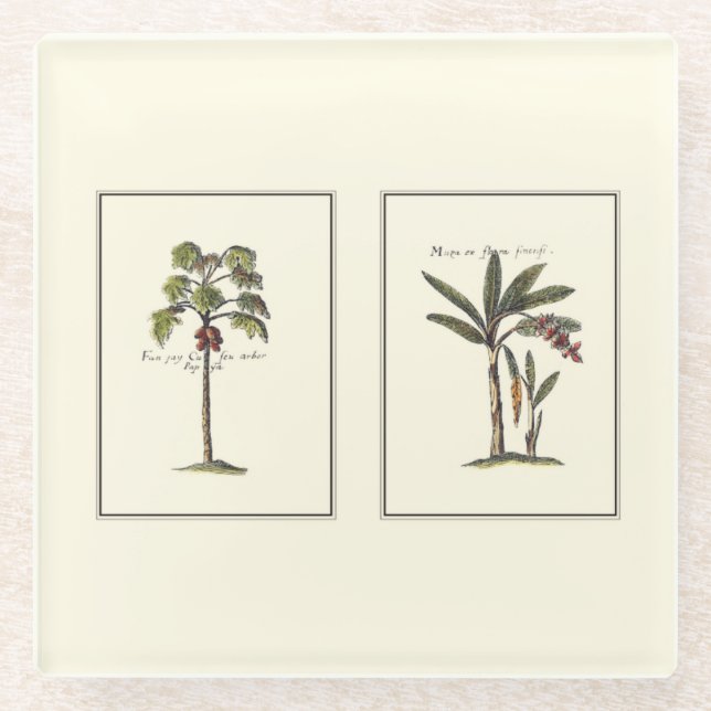 Two Miniature Framed Palm Trees Glass Coaster (Front)