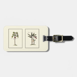 Two Miniature Framed Palm Trees Luggage Tag