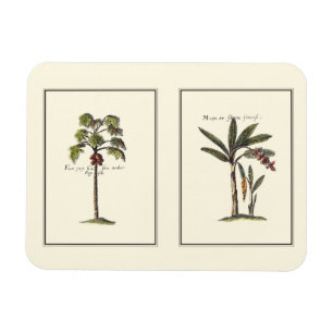 Two Miniature Framed Palm Trees Magnet