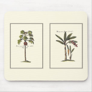 Two Miniature Framed Palm Trees Mouse Mat