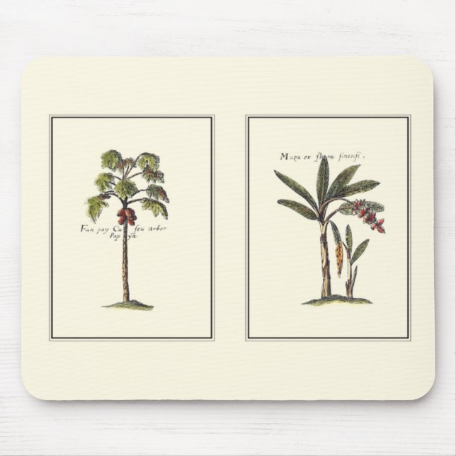 Two Miniature Framed Palm Trees Mouse Mat (Front)