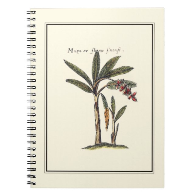 Two Miniature Framed Palm Trees Notebook (Front)