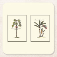 Two Miniature Framed Palm Trees