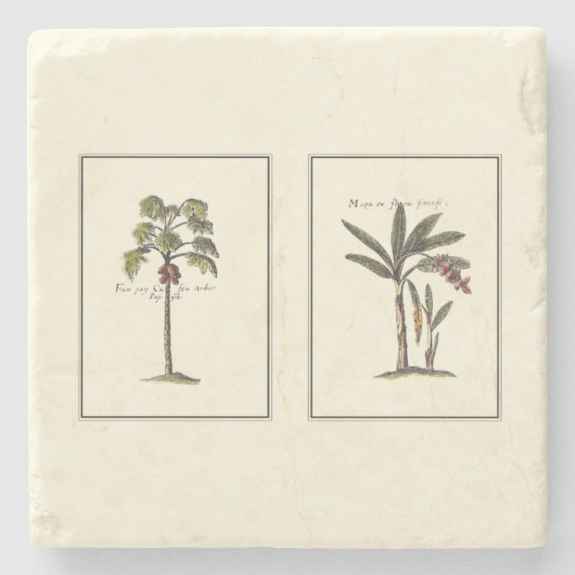 Two Miniature Framed Palm Trees Stone Coaster (Front)