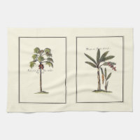 Two Miniature Framed Palm Trees