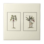 Two Miniature Framed Palm Trees Tile<br><div class="desc">Two miniature framed prints of palm trees. Simple and subtle,  this piece will not distract from the allure of a room. Would make a great gift for yourself or a loved one!</div>
