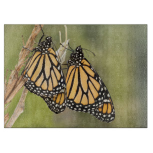 Two Monarch Butterfly's Cutting Board
