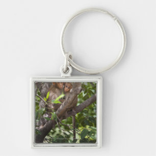 Two Monkeys In A Tree Key Ring