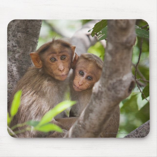 Two Monkeys In A Tree Mouse Mat (Front)