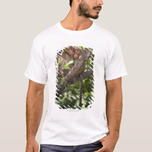 Two Monkeys In A Tree T-Shirt