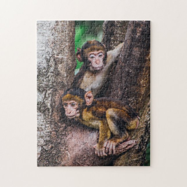Two Monkeys in Tree Monkey Forest Jigsaw Puzzle (Vertical)
