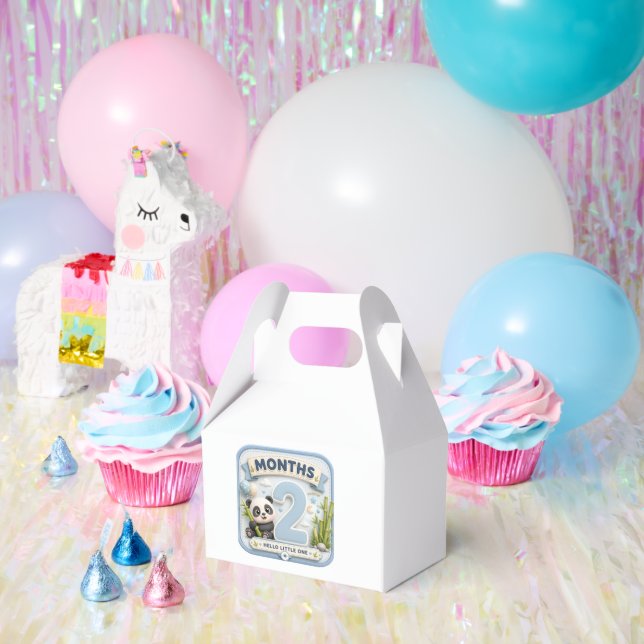Two Months of Wonder  Favour Box (Party)