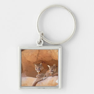 Two Mountain Lions Key Ring