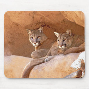 Two mountain lions mousepad
