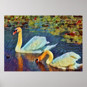 Two mute swans in the water lily pond [Poster] Poster