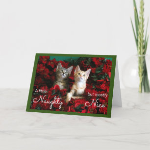 Two Naughty and Nice Kittens in Poinsettias Holiday Card