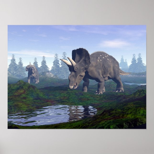 Two nedoceratops/diceratops dinosaurs walking poster (Front)