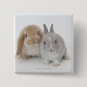 Two Netherland Dwarf and Holland Lop bunnies 15 Cm Square Badge