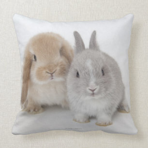 Two Netherland Dwarf and Holland Lop bunnies Cushion