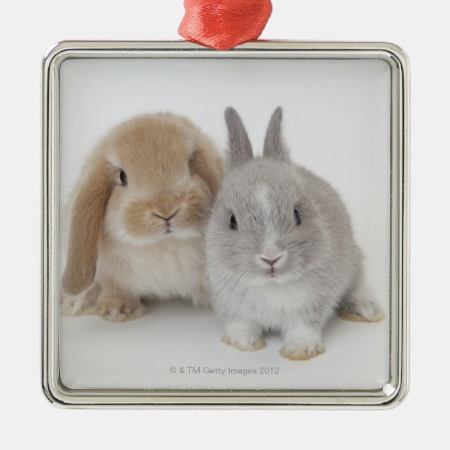 Two Netherland Dwarf and Holland Lop Bunnies Metal Tree Decoration (Front)