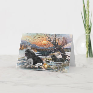 Two Newfoundlands A winter scene Holiday Card
