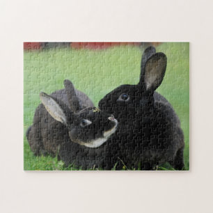 Two Nuzzling Rex Rabbits - Animal Photography Jigsaw Puzzle