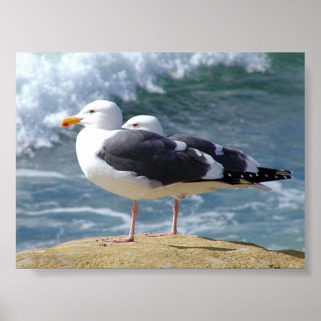 TWO OCEAN SEAGULLS WAVES ROCK BEACH PHOTOGRAPHY BI POSTER (Front)
