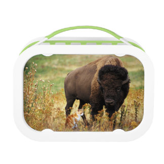 Two of a Kind Lunch Box