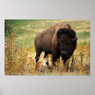 Two of a Kind Poster