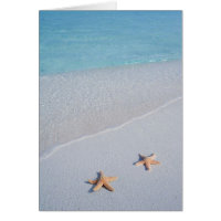 Two of Us | Ocean Love Starfish
