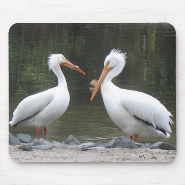 Two Old Friends Pelicans Mouse Mat (Front)