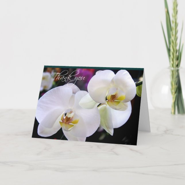 Two Orchid thank you note cards (Front)