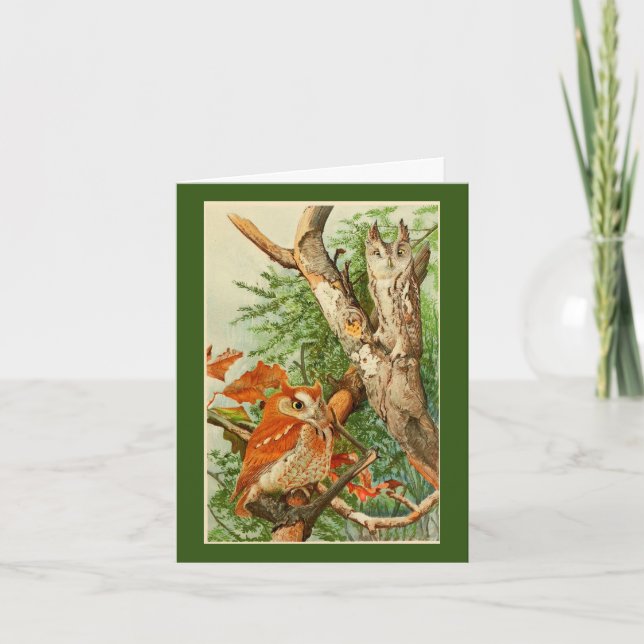 Two Owls Birthday Greeting Card (Front)