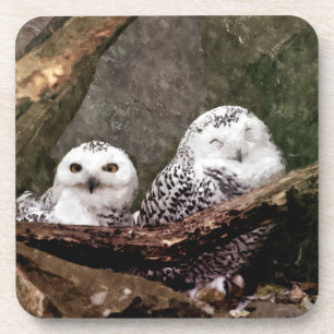 Two Owls Coaster