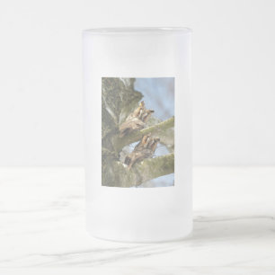 Two Owls in the Woods, birds, wildlife Frosted Gla Glass Beer Mug