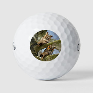 Two Owls in the Woods, birds, wildlife Golf Balls
