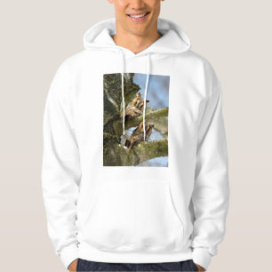 Two Owls in the Woods, birds, wildlife Hoodie