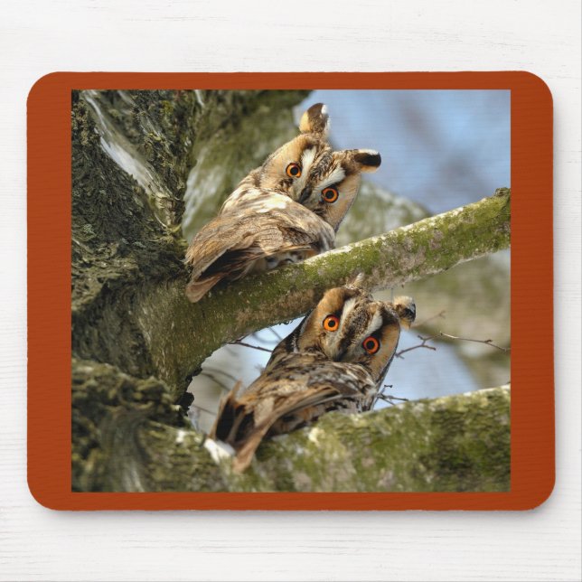 Two Owls in the Woods, birds, wildlife Mouse Pad (Front)