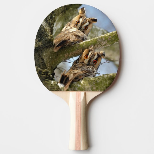 Two Owls in the Woods, birds, wildlife Ping Pong P Paddle (Front)