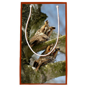 Two Owls in the Woods, birds, wildlife Small Gift Bag