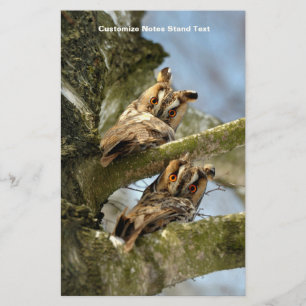 Two Owls in the Woods, birds, wildlife Stationery