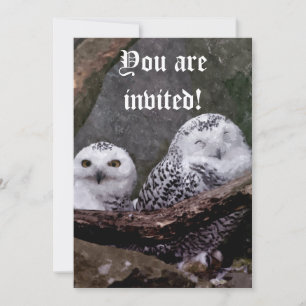 Two Owls Invitation